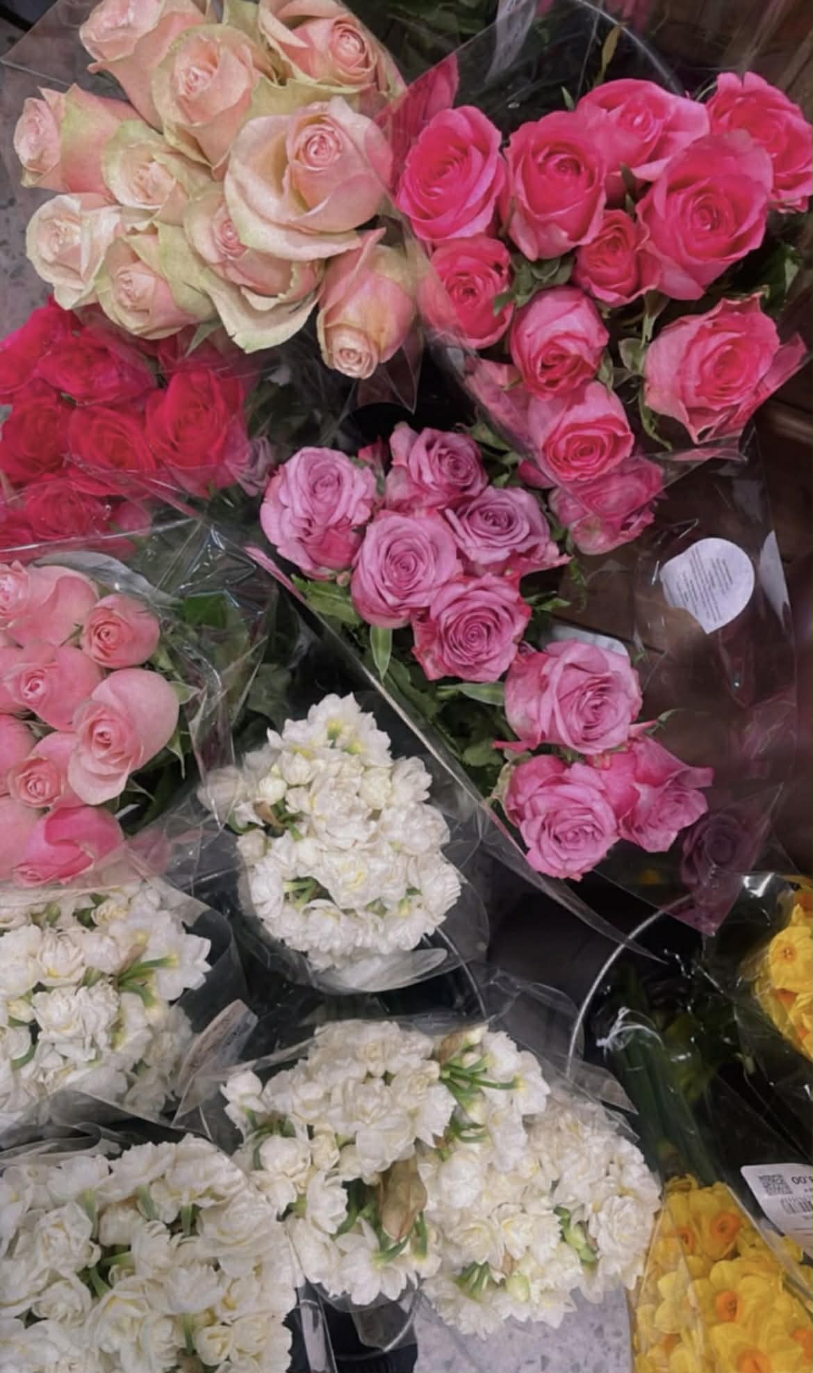 New baby flowers